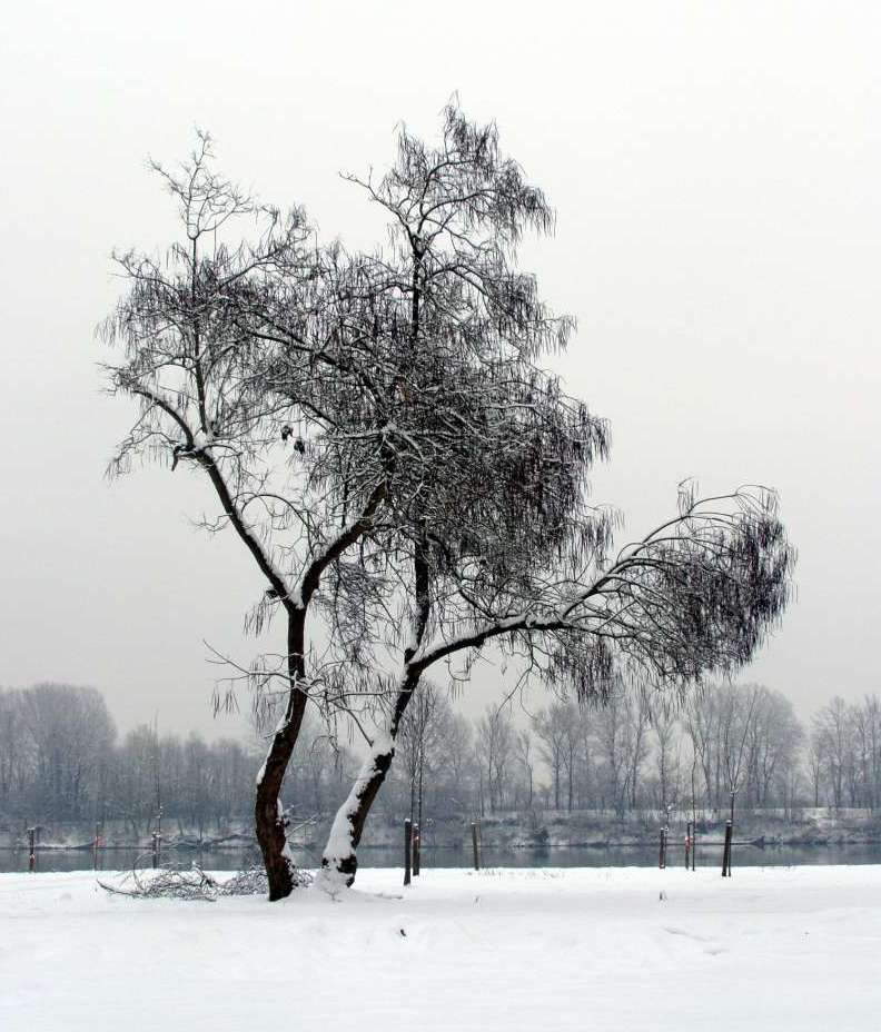 Slavonski Brod - Poloj